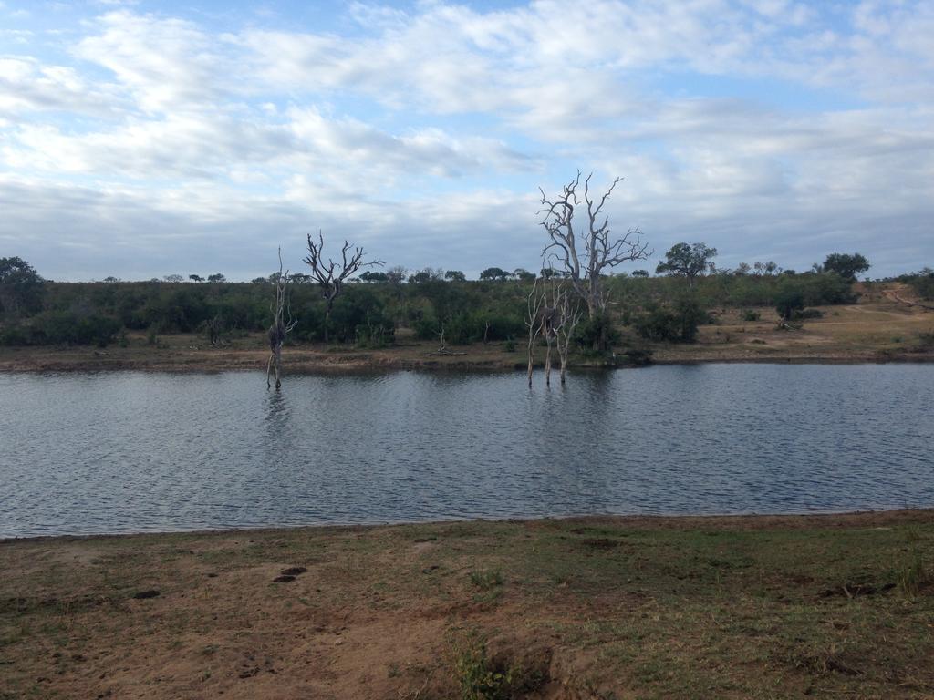 Sweni Lodge 91 Mjejane Kruger Park Hectorspruit Exterior foto