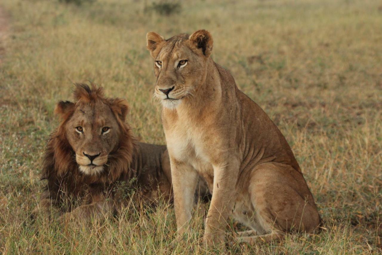 Sweni Lodge 91 Mjejane Kruger Park Hectorspruit Exterior foto